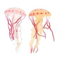 Algopix Similar Product 12 - NAMOARLY 2pcs Simulation Jellyfish