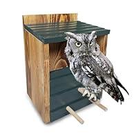 Algopix Similar Product 15 - TEINSONET Owl Box for Outside 