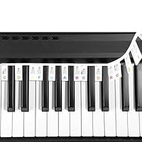 Algopix Similar Product 14 - Piano Keyboard Removable Piano Key