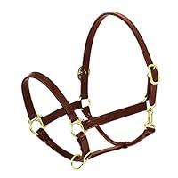 Algopix Similar Product 8 - Ovation Elite Stable Halter Oversize