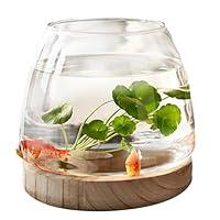 Algopix Similar Product 7 - Glass Fish Bowl with Wooden Base Clear