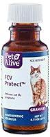 Algopix Similar Product 20 - Petalive Fcv Protect To Temporarily