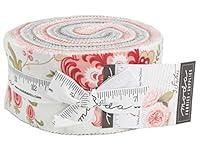 Algopix Similar Product 2 - Porcelain Jelly Roll 40 25inch Strips