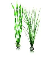 Algopix Similar Product 3 - biOrb Large Green Plant Set Colorful
