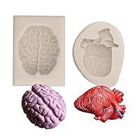 Algopix Similar Product 15 - Human Heart Fondant Mold Silicone