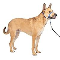 Algopix Similar Product 14 - PetSafe Gentle Leader NoPull Dog