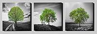 Algopix Similar Product 7 - Epic Graffiti Vibrant Tree Series