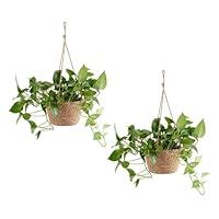 Algopix Similar Product 7 - Fofetbfo 2 Pcs Hanging Planter Basket