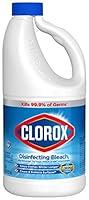 Algopix Similar Product 3 - Clorox Disinfecting Bleach Regular 
