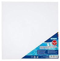 Algopix Similar Product 12 - Stylex Canvas in Various Sizes Cotton