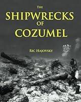 Algopix Similar Product 13 - The Shipwrecks of Cozumel