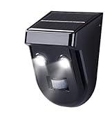 Algopix Similar Product 16 - EcoThink 155028 2 LED Solar Motion