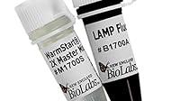 Algopix Similar Product 16 - WarmStart LAMP Kit DNA and RNA  100