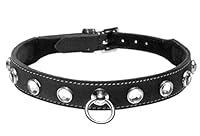 Algopix Similar Product 17 - Strict Leather Rhinestone Bdsm Collar