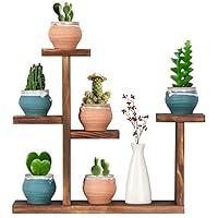 Algopix Similar Product 9 - COOGOU Wooden Tabletop Plant Stand  5