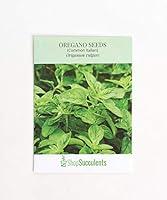 Algopix Similar Product 14 - Shop Succulents Oregano Seeds Pack of