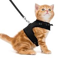 Algopix Similar Product 8 - PUPTECK Soft Mesh Cat Vest Harness and