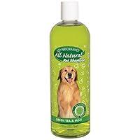 Algopix Similar Product 20 - Top Performance Green Tea and Mint