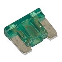 Algopix Similar Product 10 - Sealey MIBF30 30A Automotive Micro