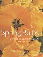 Algopix Similar Product 1 - Spring Bulbs Daffodils Tulips and