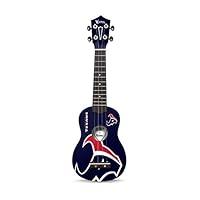 Algopix Similar Product 17 - Woodrow Guitar by The Sports Vault NFL