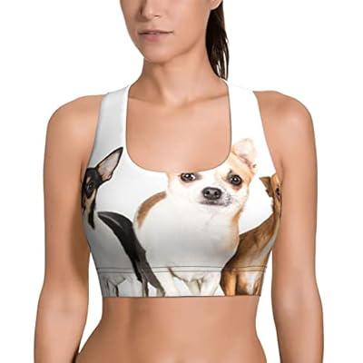Chihuahua Sports Bra