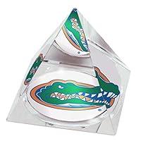 Algopix Similar Product 2 - NCAA Florida University Gators  mascot