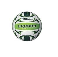 Algopix Similar Product 13 - Wilson Sports Dragon Eco Volleyball