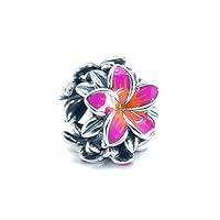 Algopix Similar Product 8 - Fuchsia  Orange Tropical Flower
