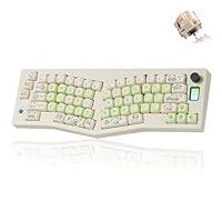 Algopix Similar Product 18 - SUEHIODHY CIDOO ABM066 Alice Keyboard