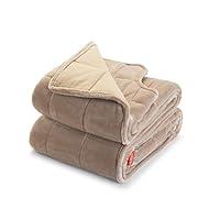 Algopix Similar Product 3 - Sunbeam Extra Warm Weighted Blanket 