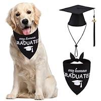Algopix Similar Product 17 - PUPTECK Dog Birthday Bandana Scarf with