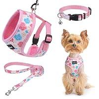 Algopix Similar Product 1 - SCENEREAL Small Dog Harness Collar and