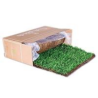 Algopix Similar Product 10 - Fresh Patch XL  Real Grass Pee and