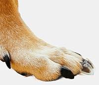 Algopix Similar Product 7 - Dr McHenrys Dog Toe Treads Set of