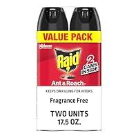 Algopix Similar Product 4 - Raid Ant  Roach Killer 26 Fragrance