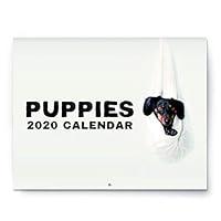 Algopix Similar Product 17 - 2020 Puppy Wall Calendar  Large 11 x