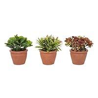 Algopix Similar Product 16 - Pure Garden Artificial 6 Tall Greenery