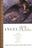 Algopix Similar Product 15 - Angel Wisdom 365 Meditations and