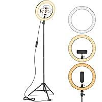 Algopix Similar Product 9 - Ring Light 10 with 67 Extended Tripod