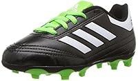 Algopix Similar Product 16 - adidas Performance Kids Goletto VI FG