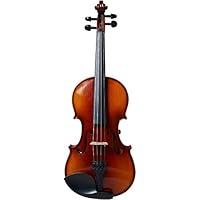Algopix Similar Product 18 - Realist, 4-String Violin (RV4E)