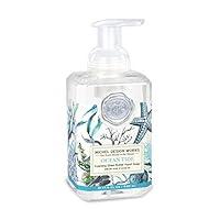 Algopix Similar Product 6 - Michel Design Works Foaming Hand Soap