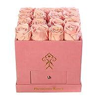 Algopix Similar Product 9 - Premium Roses Real Roses That Last a