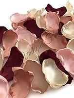 Algopix Similar Product 16 - Maroon blush pink ivory champagne and