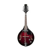 Algopix Similar Product 8 - Stagg M50E AcousticElectric Bluegrass