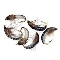 Algopix Similar Product 17 - Fly Fishing Flies6pcs Handmade Fly