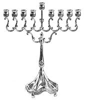 Algopix Similar Product 4 - Silver Plated Candle Menorah  Fits all