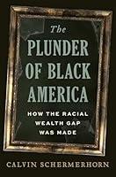 Algopix Similar Product 6 - The Plunder of Black America How the