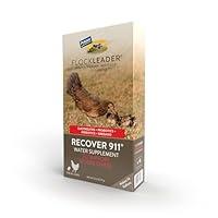 Algopix Similar Product 3 - FlockLeader Recover 911 Severe Stress